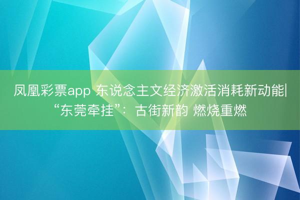 凤凰彩票app 东说念主文经济激活消耗新动能|“东莞牵挂”：古街新韵 燃烧重燃