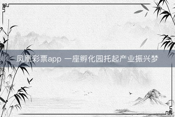 凤凰彩票app 一座孵化园托起产业振兴梦