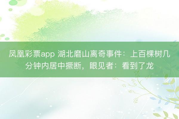 凤凰彩票app 湖北磨山离奇事件：上百棵树几分钟内居中撅断，眼见者：看到了龙