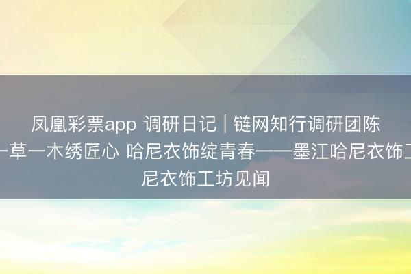 凤凰彩票app 调研日记 | 链网知行调研团陈璐茜:一草一木绣匠心 哈尼衣饰绽青春——墨江哈尼衣饰工坊见闻