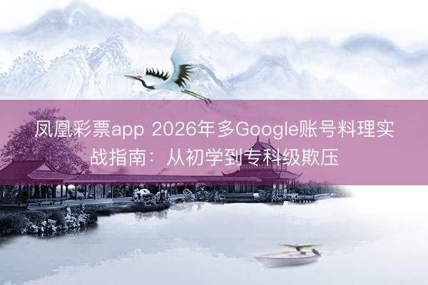 凤凰彩票app 2026年多Google账号料理实战指南：从初学到专科级欺压