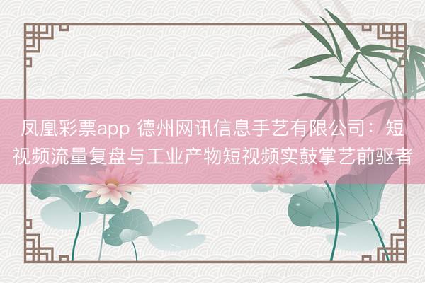 凤凰彩票app 德州网讯信息手艺有限公司：短视频流量复盘与工业产物短视频实鼓掌艺前驱者