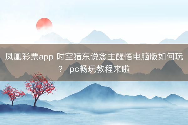凤凰彩票app 时空猎东说念主醒悟电脑版如何玩? pc畅玩教程来啦