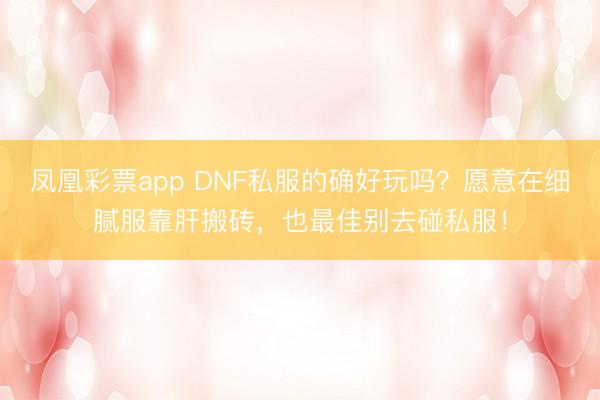 凤凰彩票app DNF私服的确好玩吗?愿意在细腻服靠肝搬砖,也最佳别去碰私服!