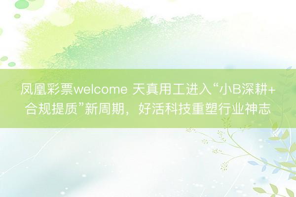 凤凰彩票welcome 天真用工进入“小B深耕+合规提质”新周期，好活科技重塑行业神志