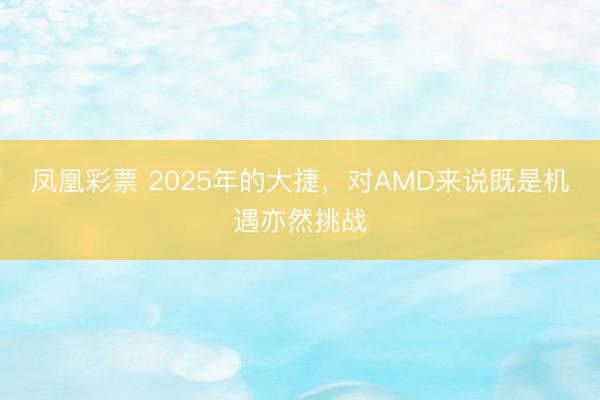 凤凰彩票 2025年的大捷,对AMD来说既是机遇亦然挑战