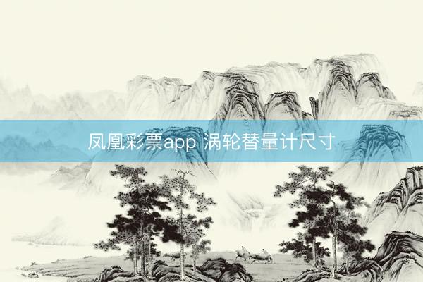 凤凰彩票app 涡轮替量计尺寸
