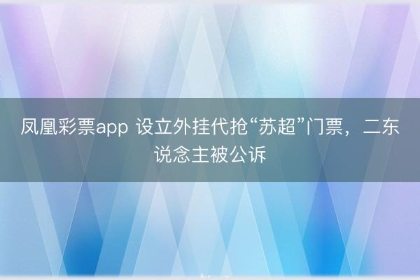 凤凰彩票app 设立外挂代抢“苏超”门票，二东说念主被公诉