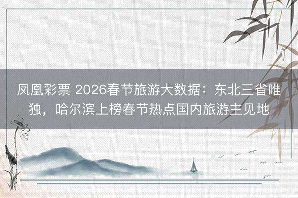 凤凰彩票 2026春节旅游大数据：东北三省唯独，哈尔滨上榜春节热点国内旅游主见地