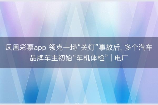 凤凰彩票app 领克一场“关灯”事故后， 多个汽车品牌车主初始“车机体检” | 电厂