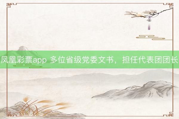凤凰彩票app 多位省级党委文书，担任代表团团长