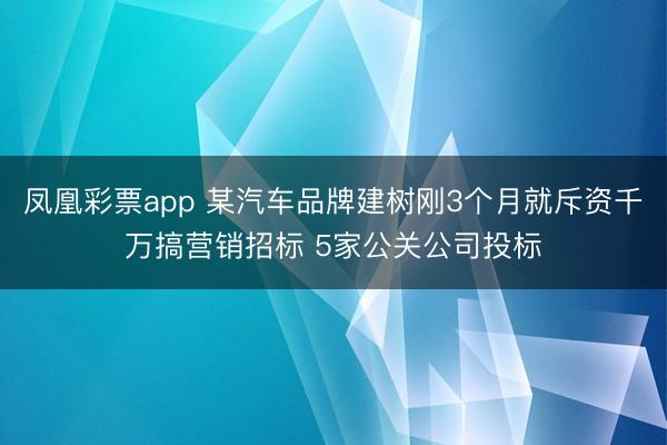 凤凰彩票app 某汽车品牌建树刚3个月就斥资千万搞营销招标 5家公关公司投标