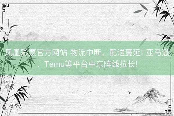 凤凰彩票官方网站 物流中断、配送蔓延! 亚马逊、Temu等平台中东阵线拉长!