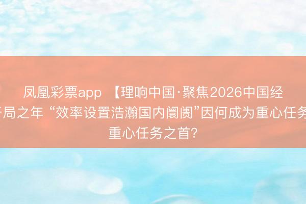 凤凰彩票app 【理响中国·聚焦2026中国经济】开局之年 “效率设置浩瀚国内阛阓”因何成为重心任务之首？