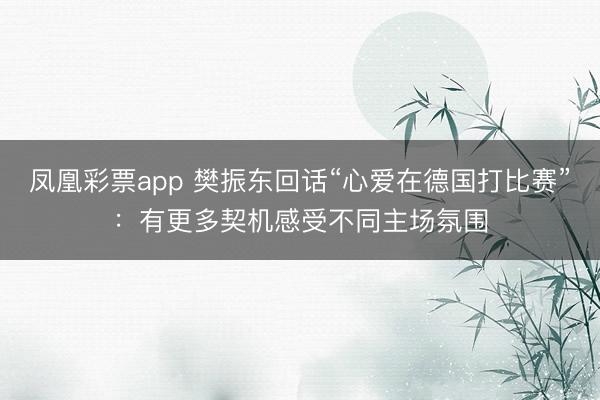 凤凰彩票app 樊振东回话“心爱在德国打比赛”：有更多契机感受不同主场氛围