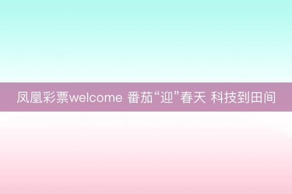 凤凰彩票welcome 番茄“迎”春天 科技到田间