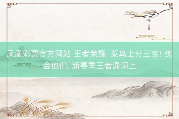 凤凰彩票官方网站 王者荣耀: 菜鸟上分三宝! 练会他们, 新赛季王者漏洞上