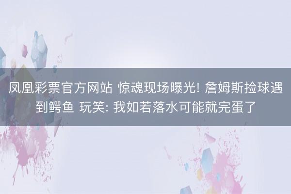 凤凰彩票官方网站 惊魂现场曝光! 詹姆斯捡球遇到鳄鱼 玩笑: 我如若落水可能就完蛋了