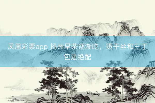 凤凰彩票app 扬州早茶逐渐吃，烫干丝和三丁包是绝配
