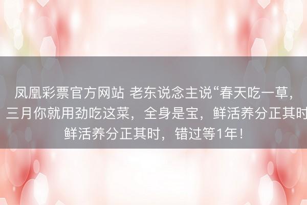 凤凰彩票官方网站 老东说念主说“春天吃一草，百岁不显老”，三月你就用劲吃这菜，全身是宝，鲜活养分正其时，错过等1年！