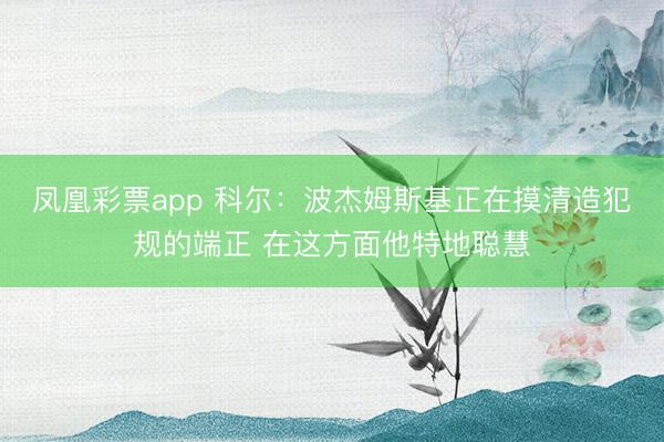 凤凰彩票app 科尔：波杰姆斯基正在摸清造犯规的端正 在这方面他特地聪慧