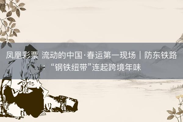 凤凰彩票 流动的中国·春运第一现场｜防东铁路：“钢铁纽带”连起跨境年味