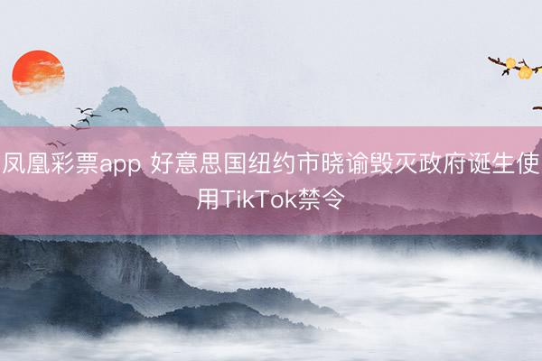 凤凰彩票app 好意思国纽约市晓谕毁灭政府诞生使用TikTok禁令