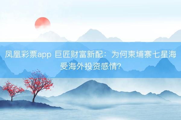 凤凰彩票app 巨匠财富新配：为何柬埔寨七星海受海外投资感情？