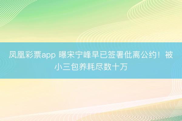 凤凰彩票app 曝宋宁峰早已签署仳离公约!被小三包养耗尽数十万