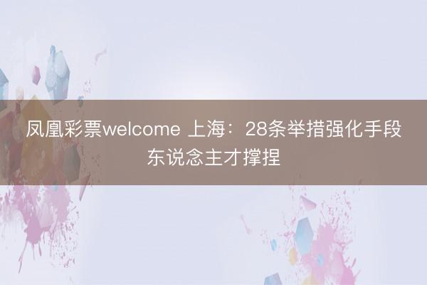 凤凰彩票welcome 上海：28条举措强化手段东说念主才撑捏