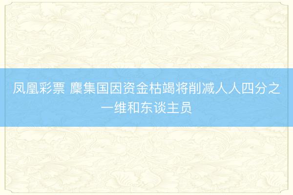 凤凰彩票 麇集国因资金枯竭将削减人人四分之一维和东谈主员