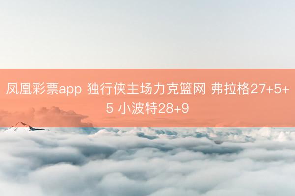 凤凰彩票app 独行侠主场力克篮网 弗拉格27+5+5 小波特28+9