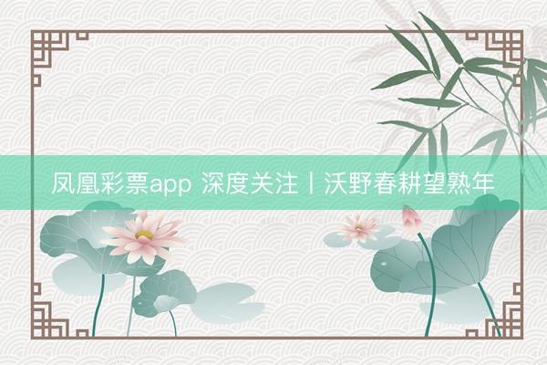 凤凰彩票app 深度关注丨沃野春耕望熟年