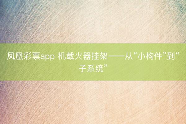 凤凰彩票app 机载火器挂架——从“小构件”到“子系统”