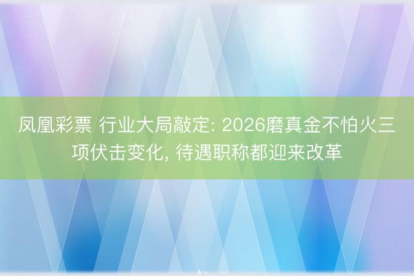 凤凰彩票 行业大局敲定: 2026磨真金不怕火三项伏击变化, 待遇职称都迎来改革