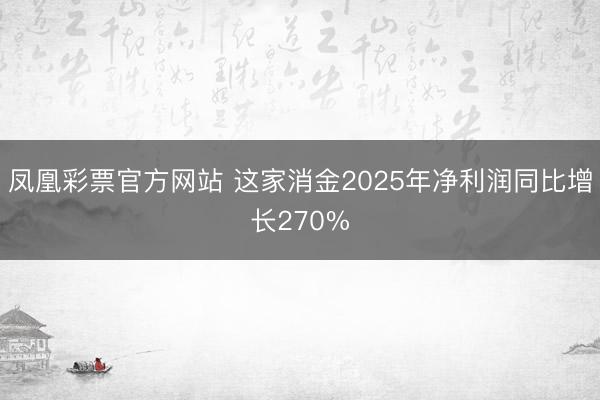 凤凰彩票官方网站 这家消金2025年净利润同比增长270%