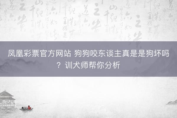 凤凰彩票官方网站 狗狗咬东谈主真是是狗坏吗？训犬师帮你分析