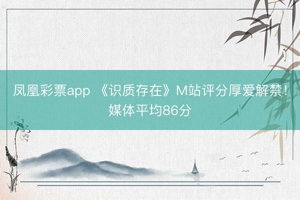 凤凰彩票app 《识质存在》M站评分厚爱解禁！媒体平均86分