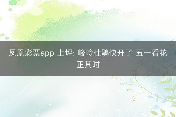 凤凰彩票app 上坪: 峻岭杜鹃快开了 五一看花正其时