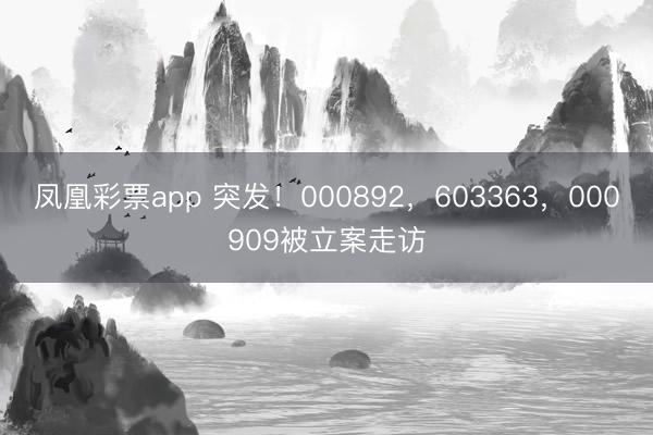 凤凰彩票app 突发！000892，603363，000909被立案走访