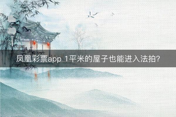 凤凰彩票app 1平米的屋子也能进入法拍？